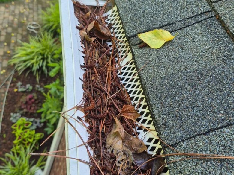A white plastic lattice guard packed with pine needles and catkins