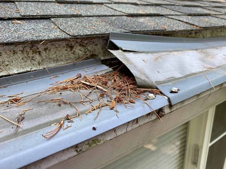 A gutter cover warped and lifted away from the gutter
