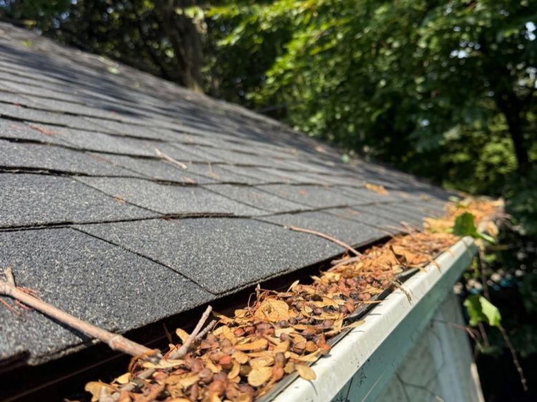 An unprotected gutter filled with seed pods and twigs